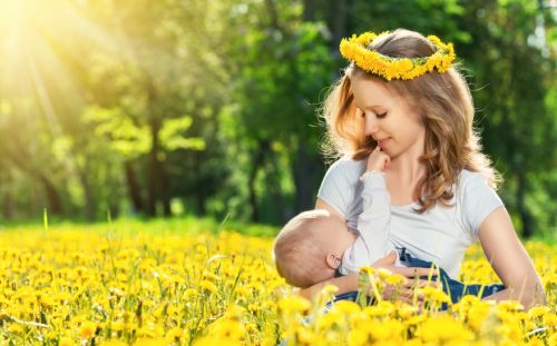 breastfeeding. mother feeding her baby in nature green meadow with yellow flowers